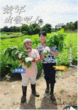 天堂视频免费在线观看 向往的生活